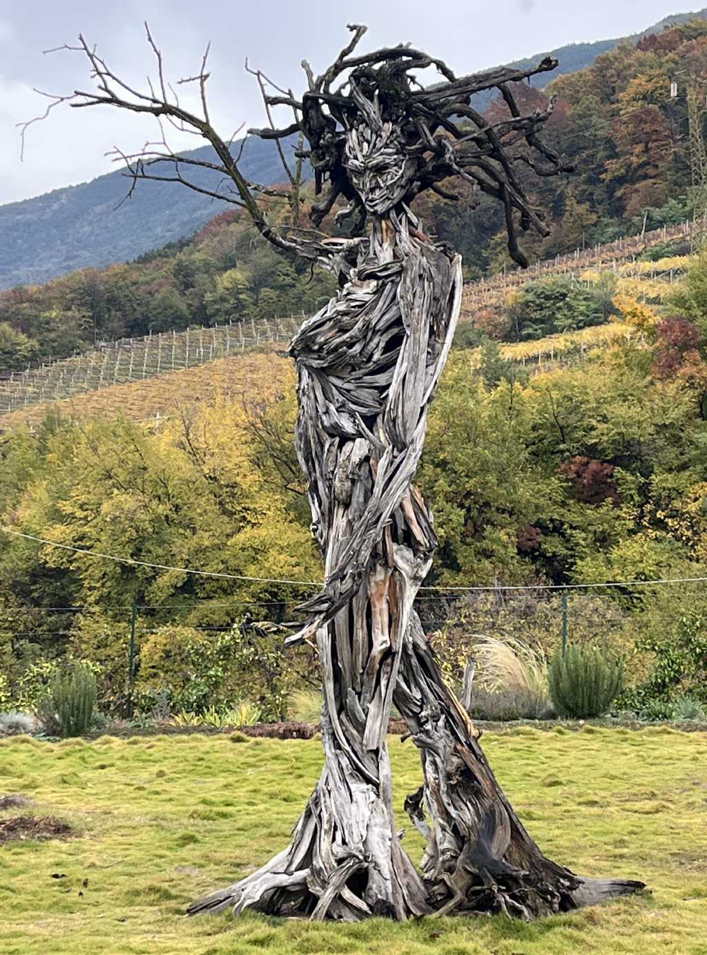 Tutte le sculture di Marco Martalar.....in Trentino